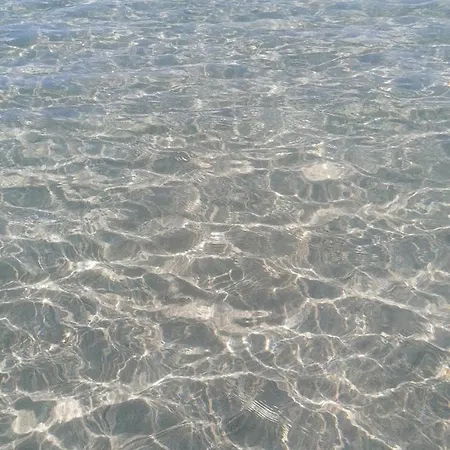 Solmar 莫诺波利